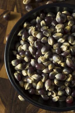 Midnight Blue Popcorn Kernels