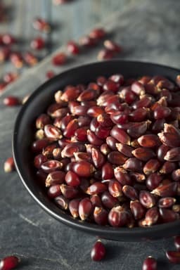 Ruby Red Popcorn Kernels, Non-GMO