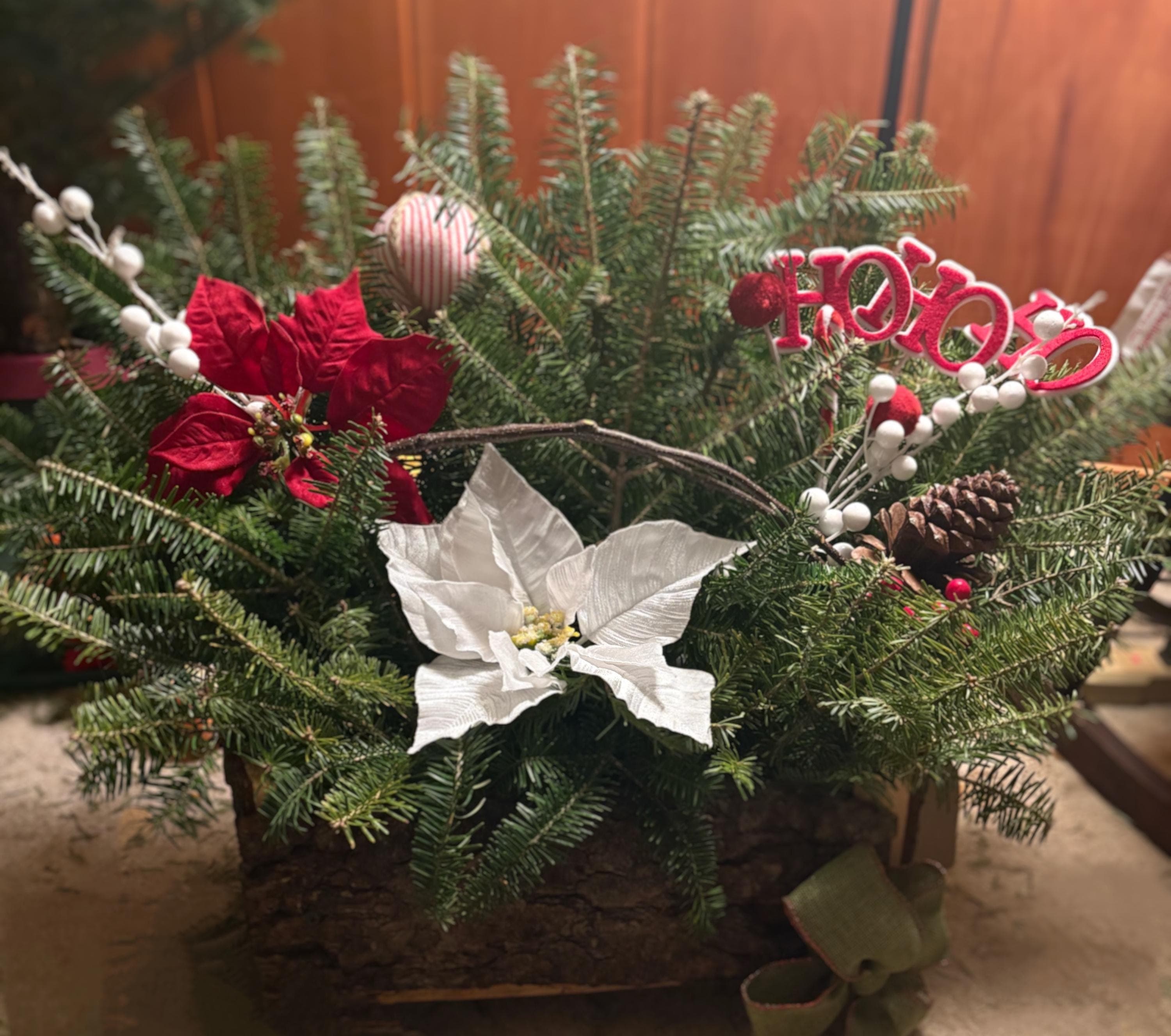 Rustic Pine Log Planter with Birch Handle: Woodland Centerpiece
