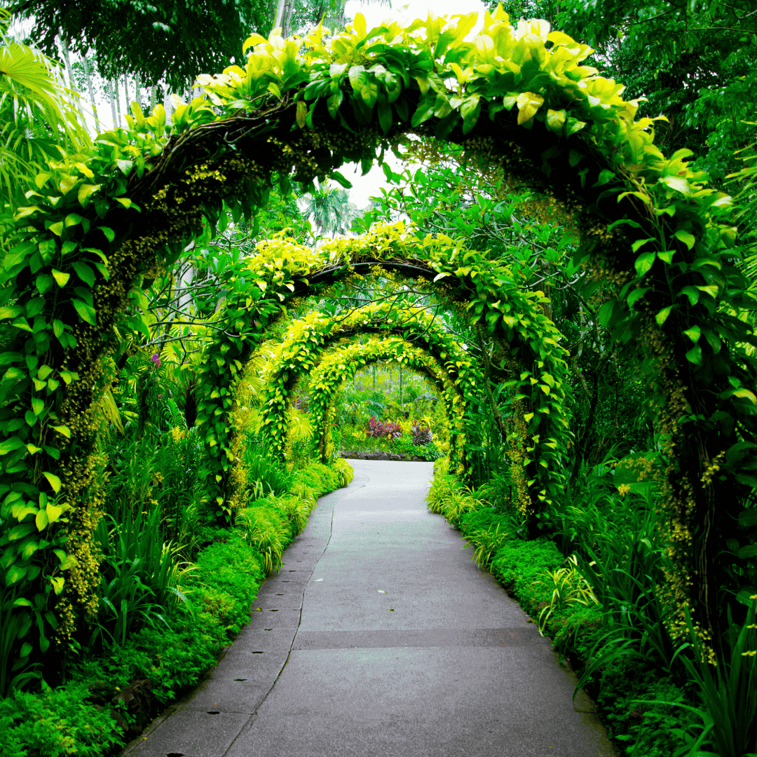 Sixteen Oaks Botanical Garden