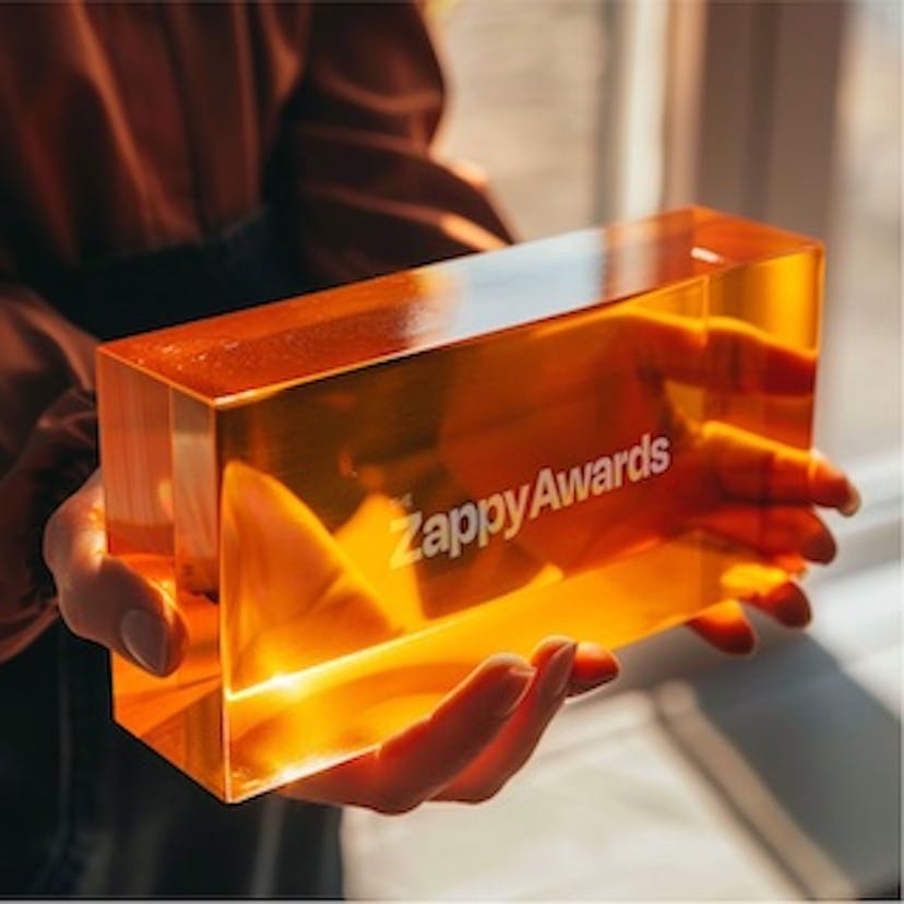 The Zappy Awards Image