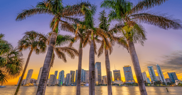 Florida landscape