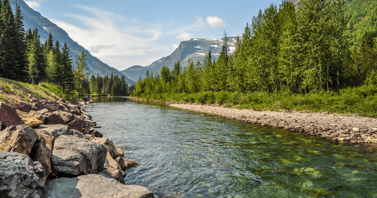 Montana Landscape