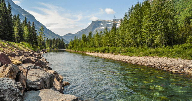 Montana landscape