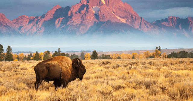 Wyoming landscape