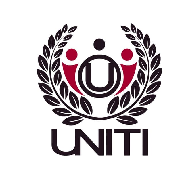Uniti Enterprise Usa Llc