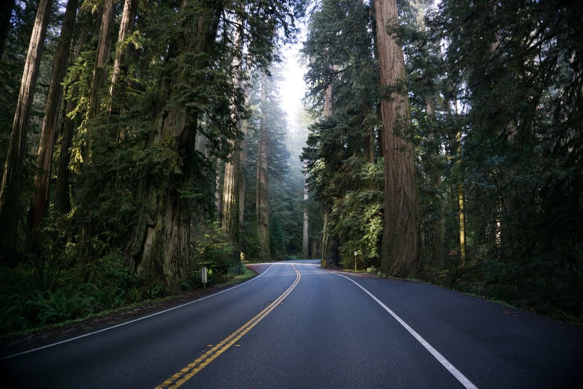 Ultimate Oregon DMV Permit Practice Tests