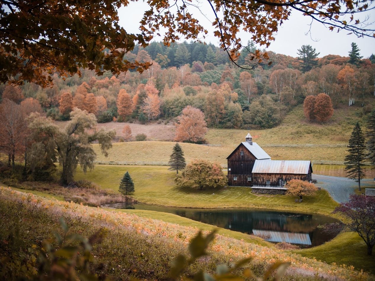 Featured Image