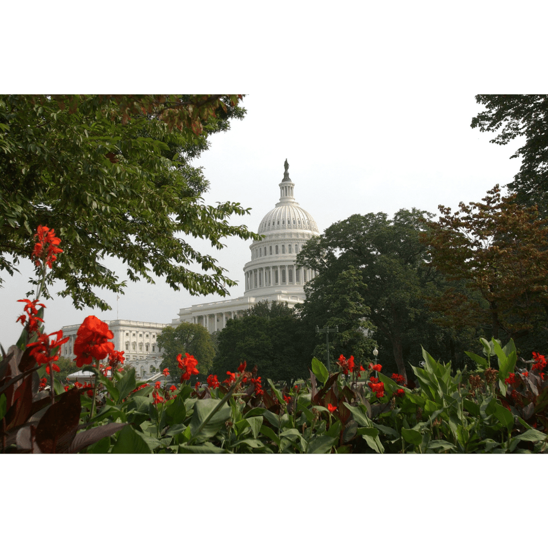 Ultimate Guide to Small Business Grants in Washington D.C.