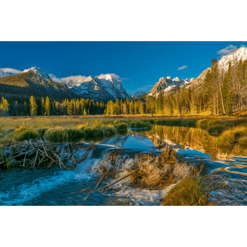 Ultimate Guide to Small Business Grants in Idaho