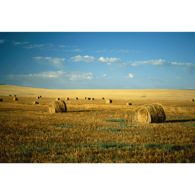 Ultimate Guide to Small Business Grants in North Dakota