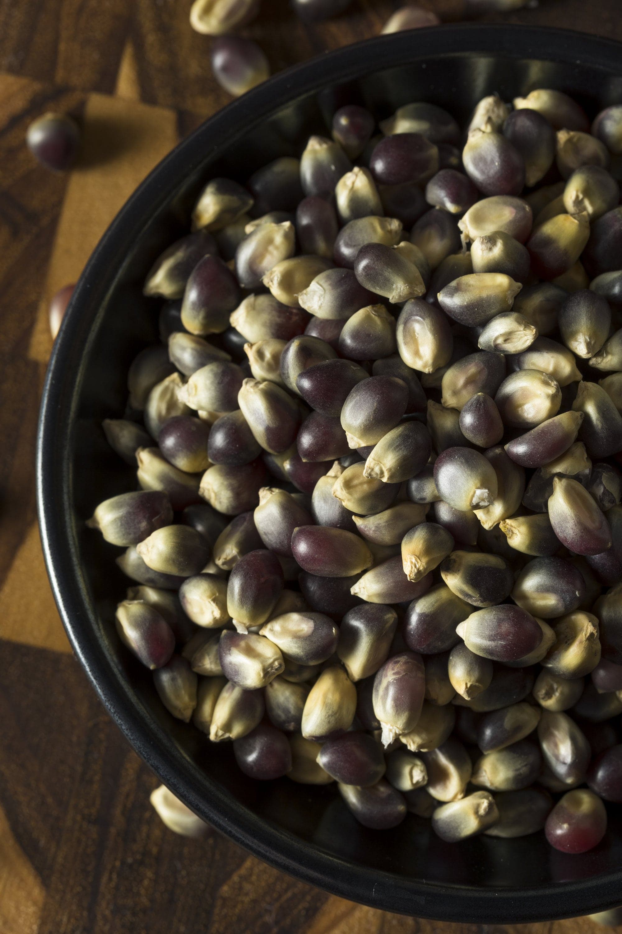 Midnight Blue Popcorn Kernels