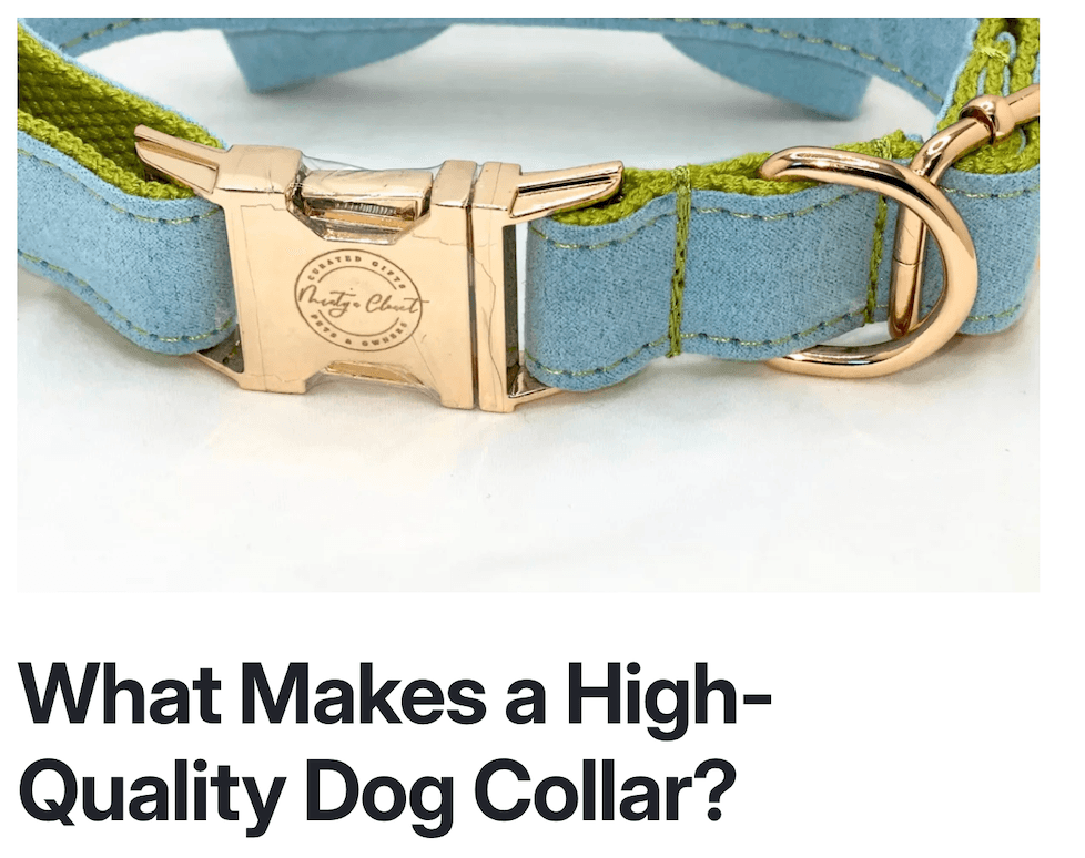 https://static.helloskip.com/blog/2026/04/What-Makes-a-High-Quality-Dog-Collar-Blog-Post-on-Skip.png